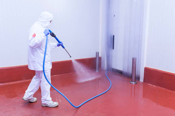 Best Spring Cleaning  in Penns Grove, NJ
